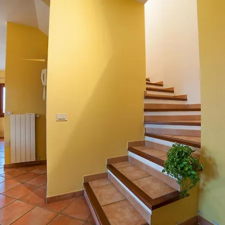 Bella Vista *